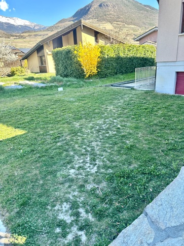 Appartement, 2.5 pièces, 50.00 m2
